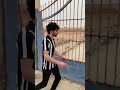 عامل دماغ