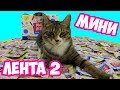 ЦЕЛАЯ КОРОБКА МИНИ ЛЕНТА 2 | КОЛЛЕКЦИЯ МИНИАТЮРОК КОТА ТИГРЫ | РАСПАКОВКА СЮРПРИЗОВ