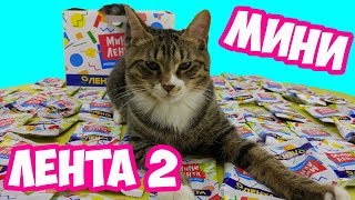 ЦЕЛАЯ КОРОБКА МИНИ ЛЕНТА 2 | КОЛЛЕКЦИЯ МИНИАТЮРОК КОТА ТИГРЫ | РАСПАКОВКА СЮРПРИЗОВ