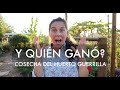 Gran sorteo Gran! Cosecha del #HuertoGuerrilla y Rizomas de #Cucamelon