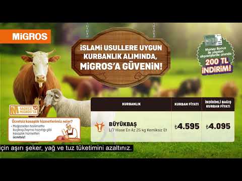 İslami usüllere uygun kurbanlık alımında Migros’a güvenin! - İslami usüllere uygun kurbanlık alımında Migros’a güvenin!