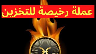 عملة  HOLO : من افضل العملات الرقمية الرخيصة للتخزين