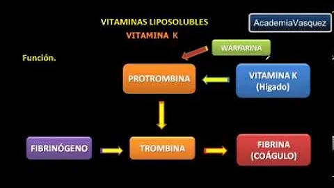 ¿Se puede aplicar la vitamina K por vía tópica?