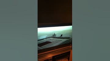 Highest viewpoint in assassins creed 2