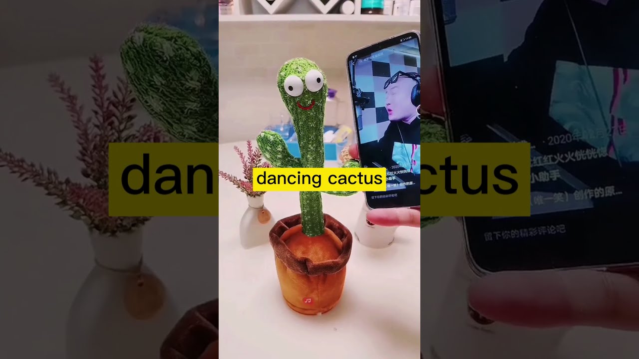 Talk And Dancing Cactus Sing For You HAHAHAHAHAH SONG