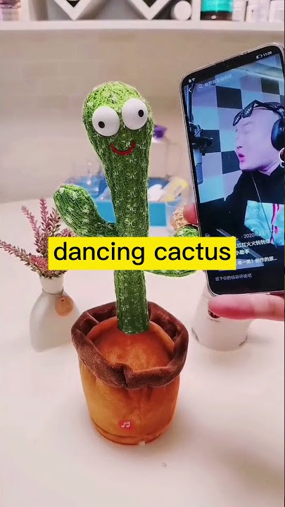 talk and dancing cactus sing for you!!! HAHAHAHAHAH SONG