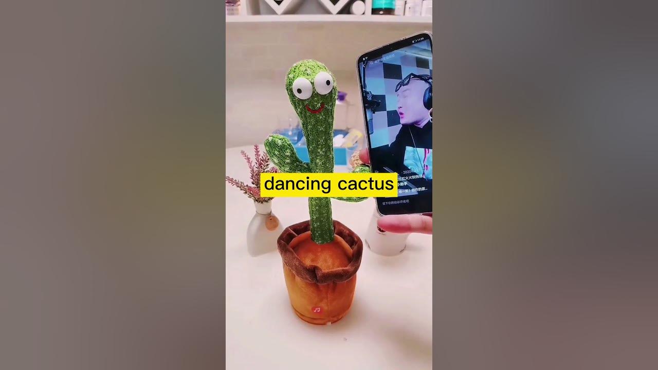 talk and dancing cactus sing for you!!! HAHAHAHAHAH SONG