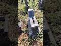 Sarang lebah di dalam batu nisan