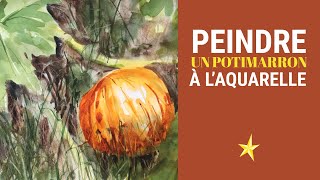 Peindre un potimarron à l'aquarelle - Moyen