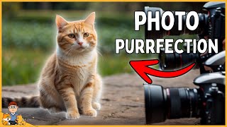 Preparing your cat for a photo shoot (PRO photographers top tips) by Our Pets Health 91 views 2 months ago 2 minutes, 43 seconds