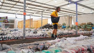 TENIS BARATOS las 24 HORAS en IZTAPALAPA  Lalo Elizarrarás