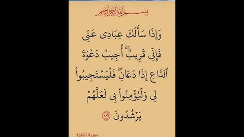 الآية 186 من سورة البقرة
