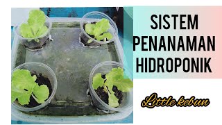 Cara tanam dan buat Sistem hidroponik- Little kebun