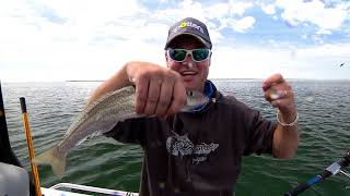 IFISH Western Port King George Whiting