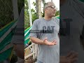 CRZ Violation: Giggys Wedding Hall Venue in Mober, Cavelossim Says Shalton Fernandes