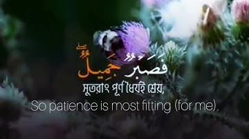 [سورة: يوسف ، الآية: 83] Surah:Yusuf,Verse 83 #Quran #Islam #SurahYusuf