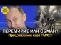 ПЕРЕМИРИЕ ИЛИ ОБМАН? ПРЕДСКАЗАНИЕ КАРТ ТАРО!!!