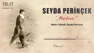 Seyda Perinçek - Mêrdinê Resimi