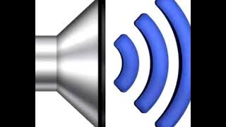 Japanese Bruh Sound Effect #2