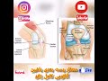 آناتومی کامل مفصل زانو