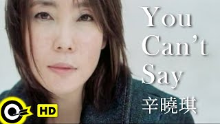 Video thumbnail of "辛曉琪 Winnie Hsin【You can't say】Official Music Video"