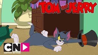 Tom Jerry Show I Sihirli Şapka I Cartoon Network Türkiye