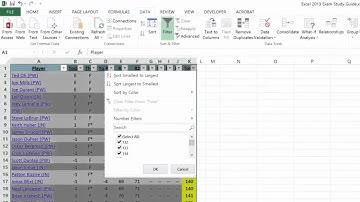Excel 2013 Basic Sorting using Filtering
