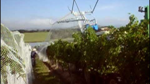 Bird Netting Grape Vines Deploy 2 Rows-2 0408 241 998