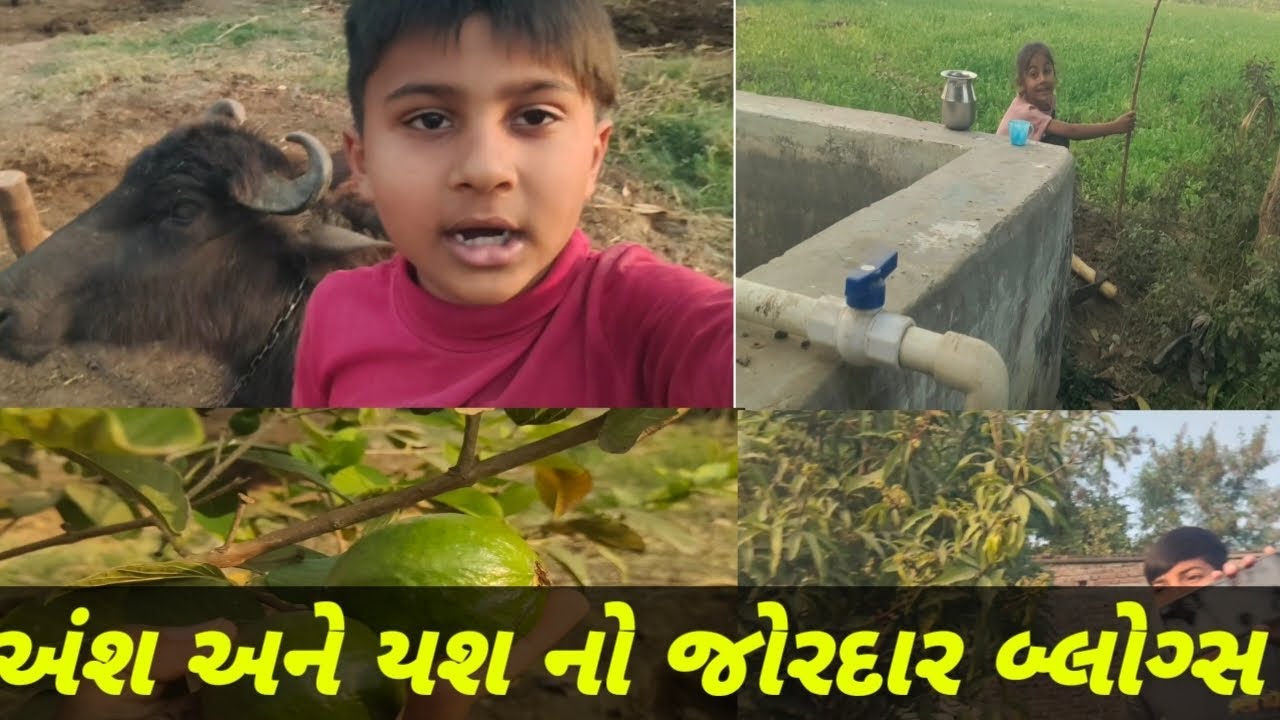 અંશ અને યશ નો જોરદાર બ્લોગ્સ//Ajay THAKOR VLOGS 