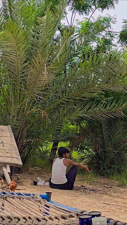 Punjab Village Life #shorts