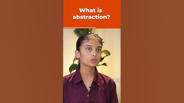 What is Abstraction?
