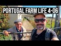 Rural Living in Central Portugal | PORTUGAL FARM LIFE S4-E06 ❤🚜🌞