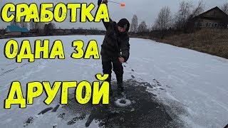 ЖЕРЛИЦЫ 2019. ОТКРЫТИЕ СЕЗОНА. ПОПАЛИ НА ЖОР ЩУКИ👍