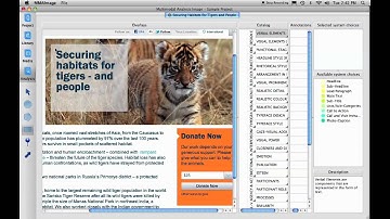 Multimodal Analysis Image Software - Video 1: Overview