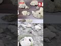 15-Million-Year-Old Miocene Fossils Discovered in Baripada, Odisha | Latest News