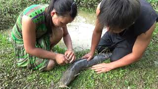 Finding Food Meet Fish And Catch Big Catfish In Mud Water - Cooking Fish Delicious For Survival