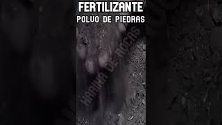 #shorts FERTILIZANTE POLVO DE PIEDRAS QUE VALE ORO  Y ESTA POR DOQUIER (agricultura organica)