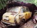 Забытые автомобили (часть 2) / Abandoned  Russian cars