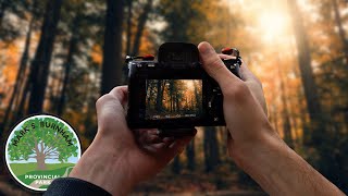 POV Fall Photography Walk