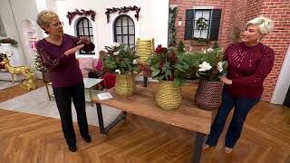 Decorative Indoor/Outdoor Basket-Style Planter by Kim Gravel on QVC