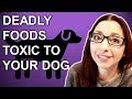 Common Foods Toxic To Dogs! (Foods Poisonous To Dogs)