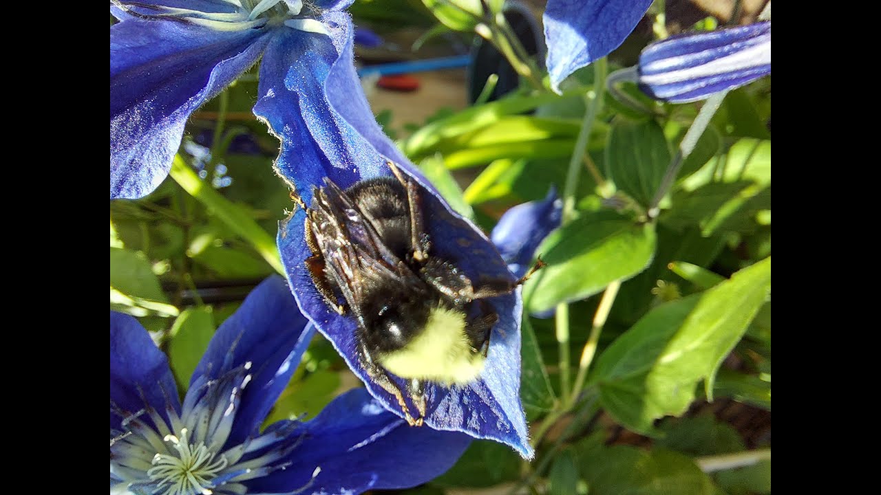 18 1265 Cherry Point Rd Cowichan Bay Home Sale Video