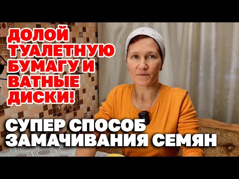 Как прорастить семена в домашних условиях