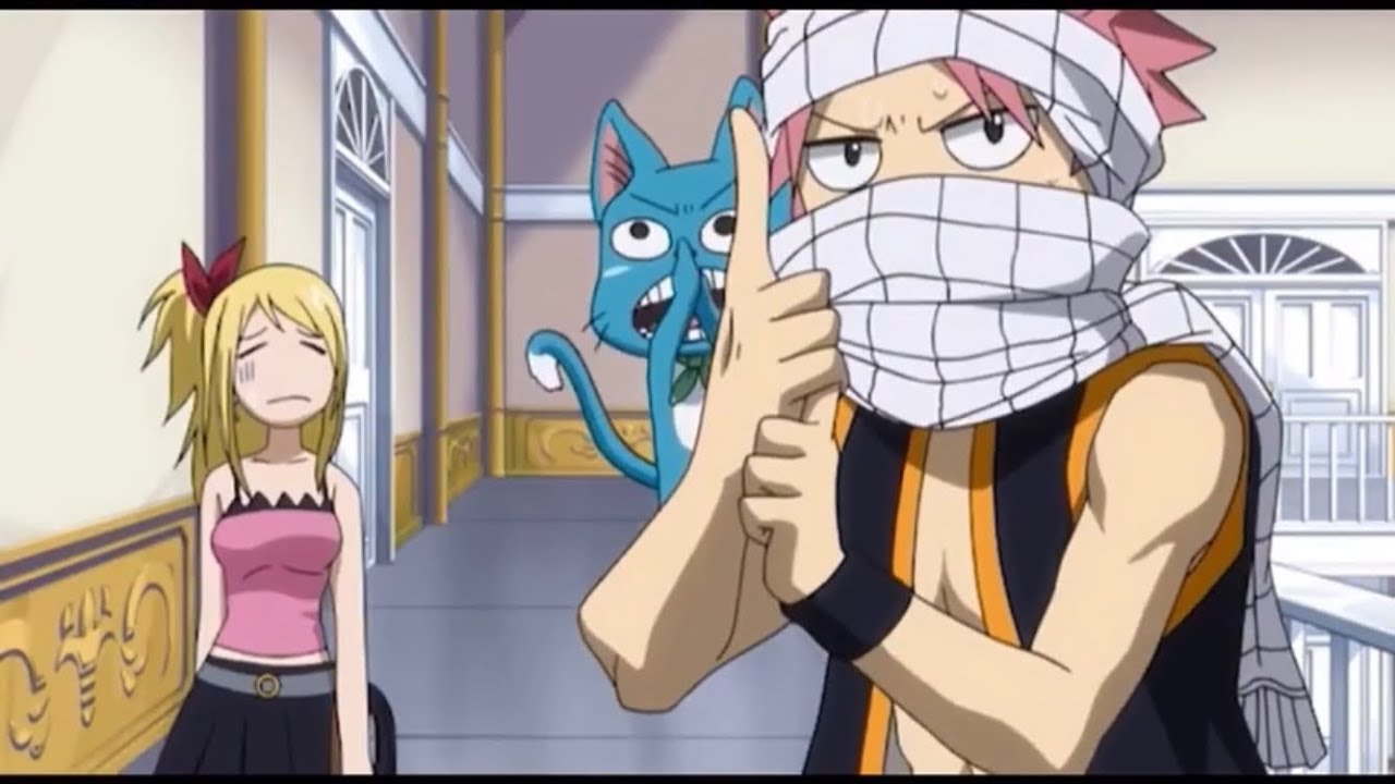 FAIRY TAIL FUNNY MOMENT VF