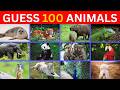 100 Animals IQ Test 🧠 Easy, Medium, Hard, Impossible (2026)