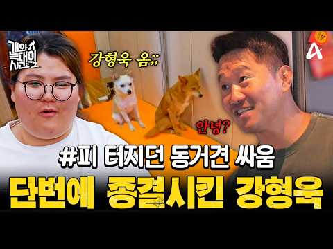 [#클립배송] 만나기만 하면 개싸움💢 강형욱의 강한 통제에 바로 꼬리 내린 동거견들 | #개와늑대의시간2 29회