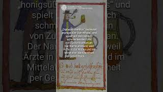 Daher kommt der Name Diabetes mellitus | #medfacts Nr. 8