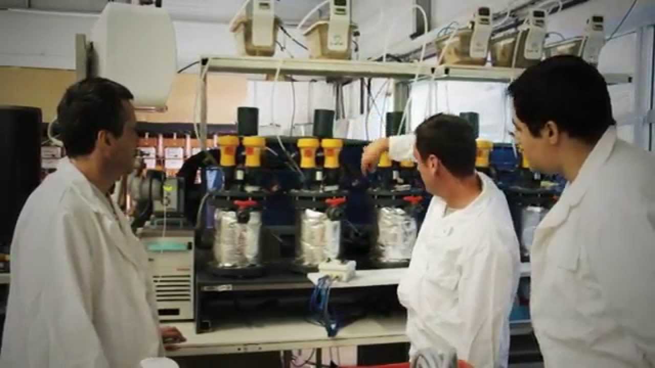 Le centre Irstea de Rennes