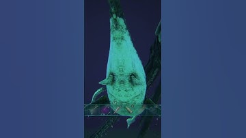 Why is Taming Tusoteuthis so Easy...