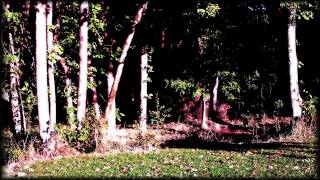 Moodscape Spa Relaxation Video - Heaven (Subtle Noise Ambiance)